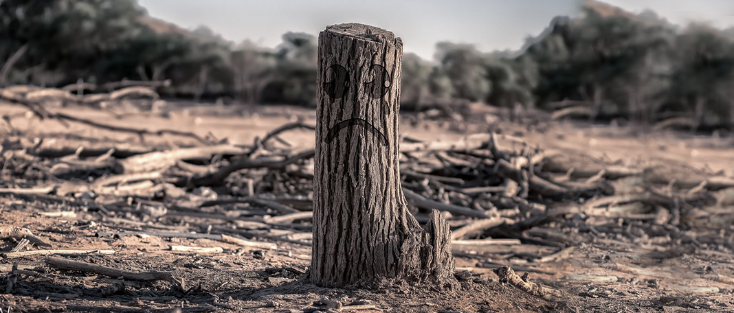 How can Climate Change lead to Anxiety among Humans?