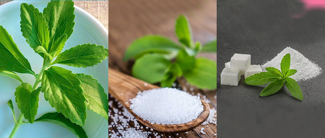 Stevia Health Benefits and Risks