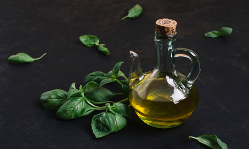 Oregano Oil Oregano Oil