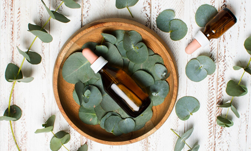 Eucalyptus Oil