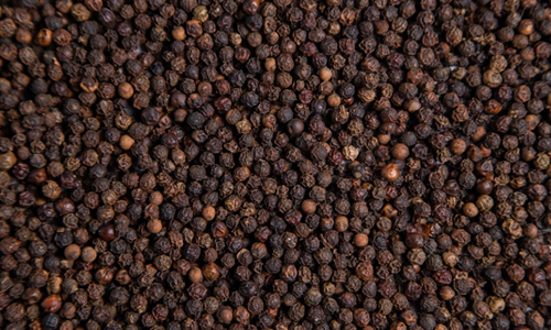 Black pepper