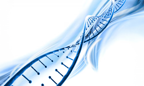Genetic-Factors