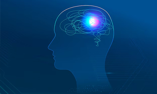Neurobiological-Factors