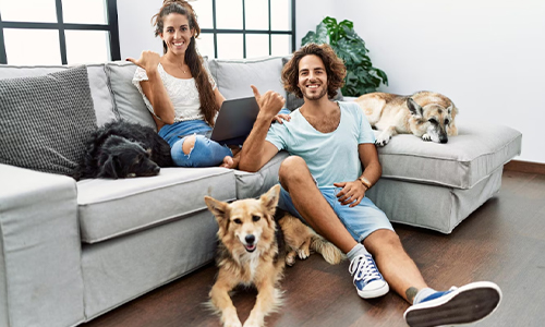Happy couple relaxing at home with their dogs.