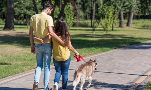 A happy young couples walking their dog in a park.