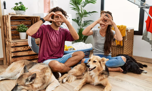 Young couple smiling with their dogs, symbolizing the responsibilities and joy of pet ownership.