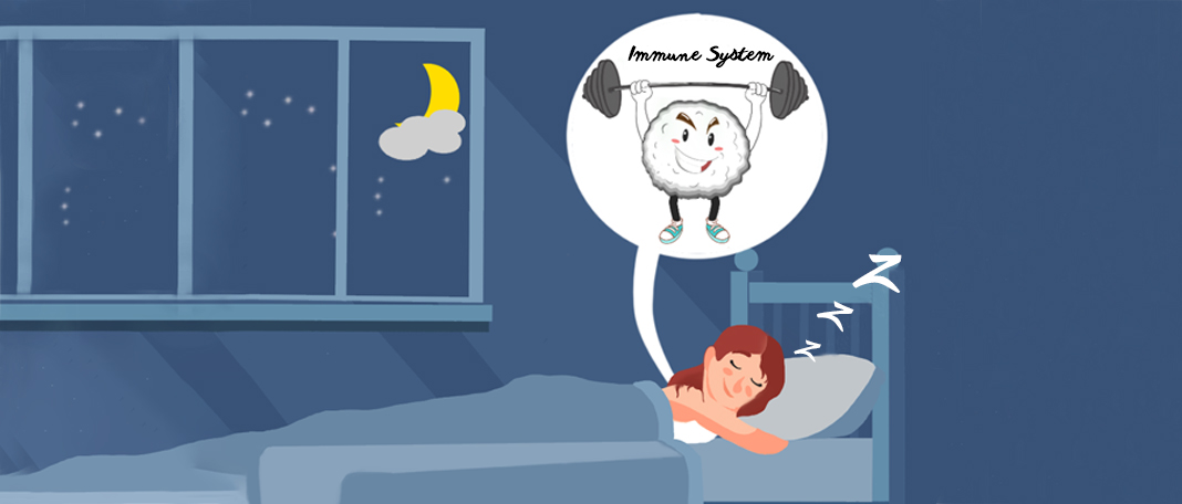 All You Need to Know About Immune System and Sleep