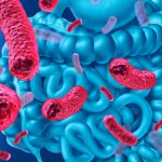 Are Probiotics Effective for Promoting Weight Loss?