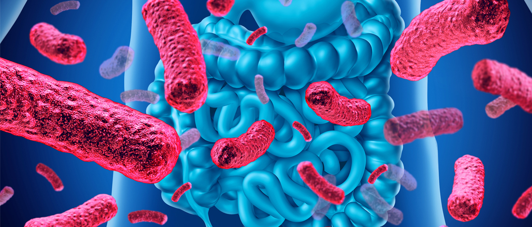 Are Probiotics Effective for Promoting Weight Loss?