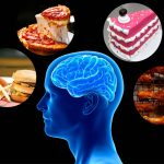 Gut-Brain Connection for Fatty Foods