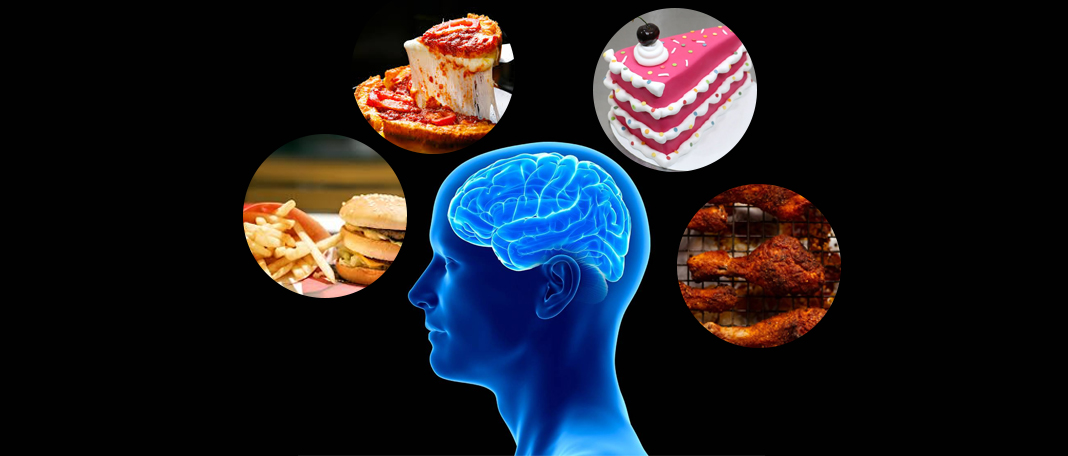 Gut-Brain Connection for Fatty Foods