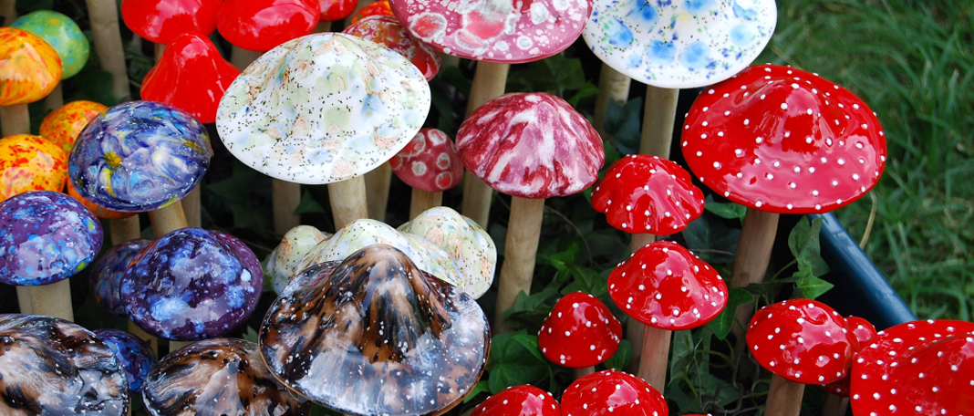 Magic Mushroom Compound Can Help Treat Depression