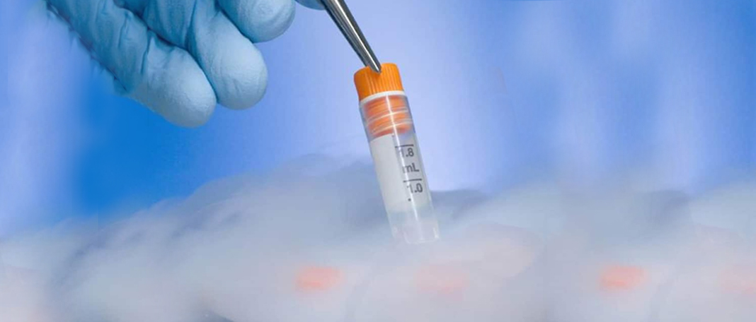 Twins from embryos that froze for 30 years