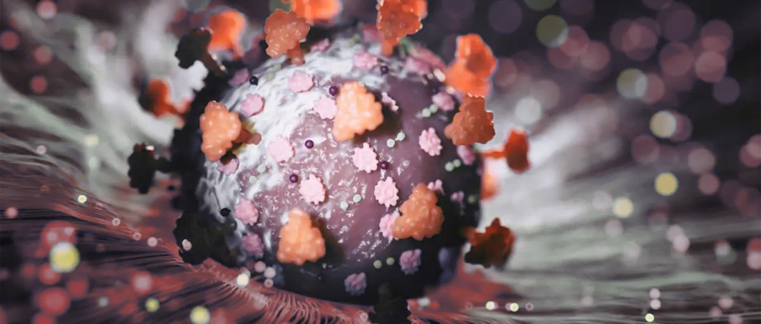 All About Symptoms of BQ.1 and BQ.1.1 Variants of Covid-19