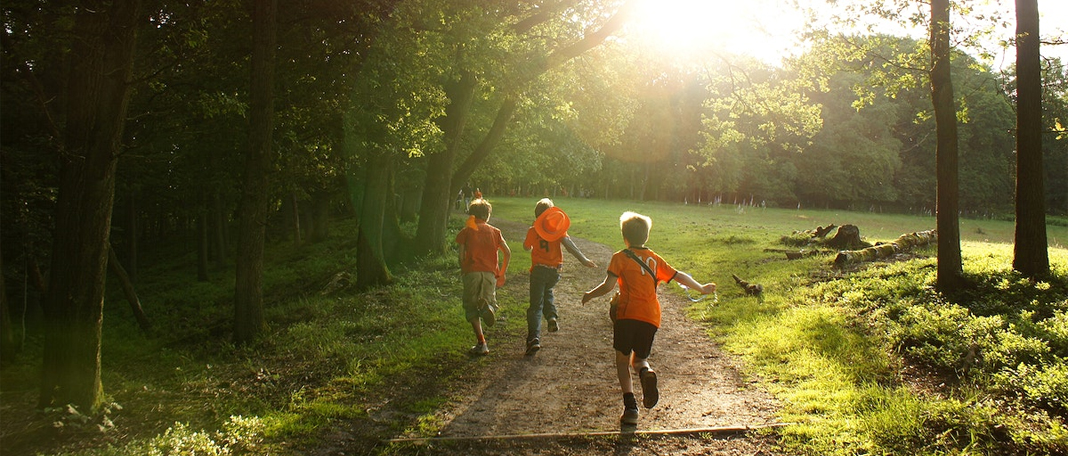 Is Sunlight Good For You?