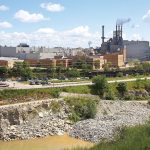 Rare Fungal Outbreak at Michigan Paper Mill has Infected Nearly 100 Workers