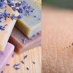 Study Finds Flowery Soaps Make Humans More Attractive to Mosquitoes