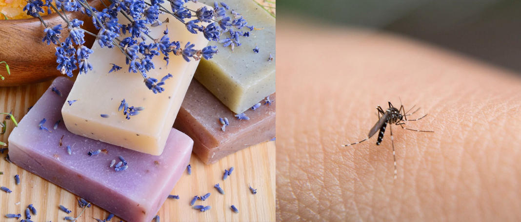Study Finds Flowery Soaps Make Humans More Attractive to Mosquitoes