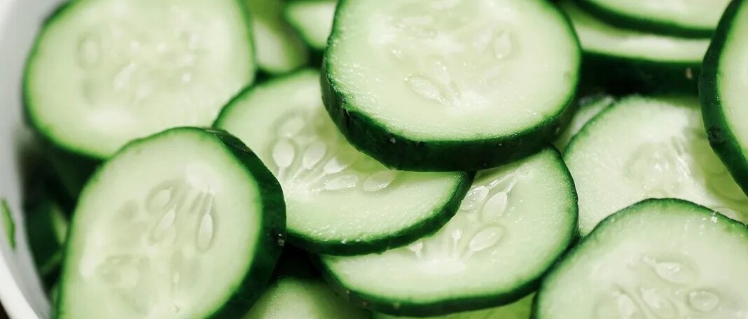 Why you should eat Cucumber Everyday