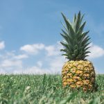 5 reasons to add pineapple to your diet