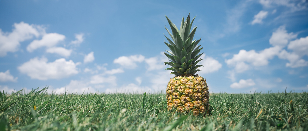 5 reasons to add pineapple to your diet