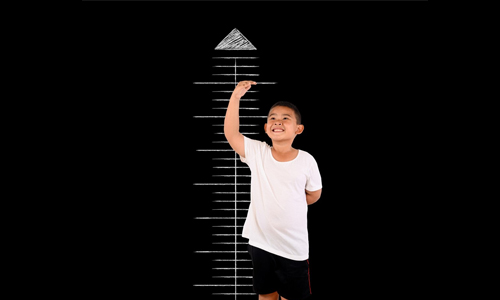 Many Factors Influence Height