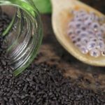 Health Benefits of Basil Seeds: A Nutrient-Dense Superfood