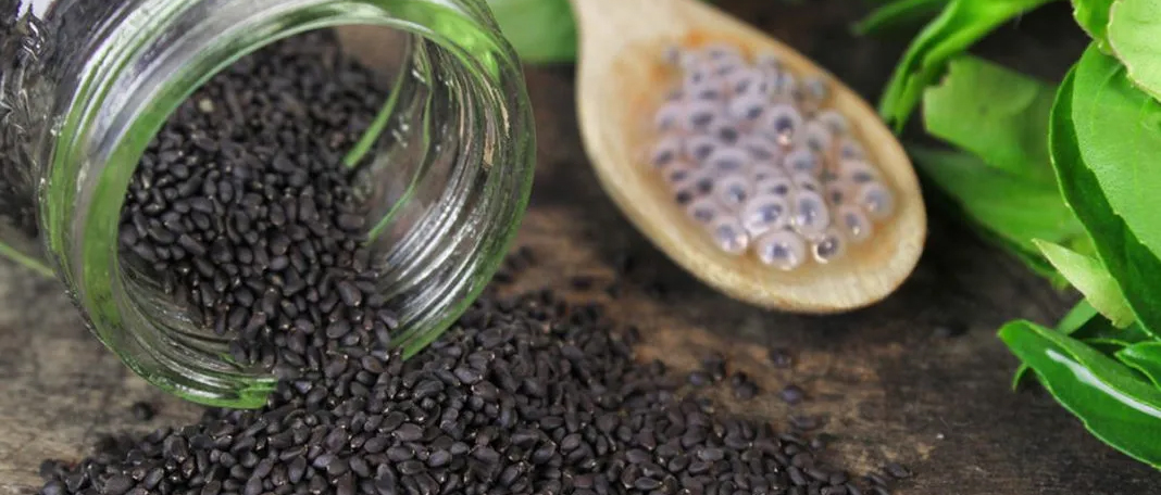Health Benefits of Basil Seeds: A Nutrient-Dense Superfood