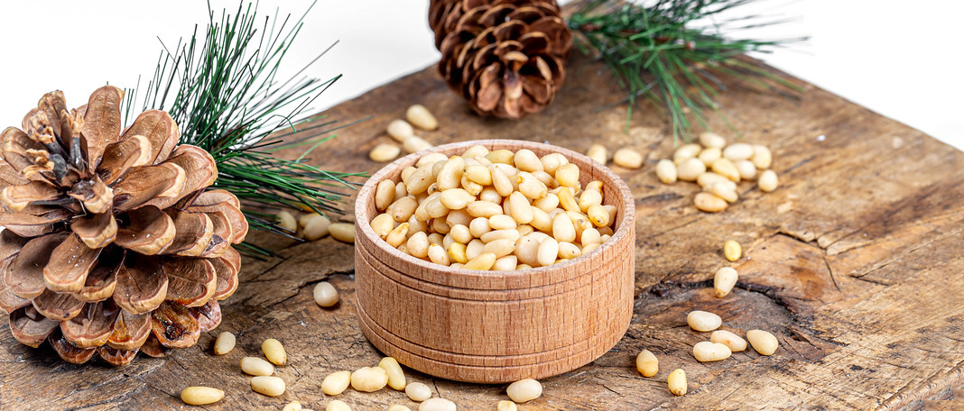 Nutrient-Rich Pine Nuts and Their Benefits