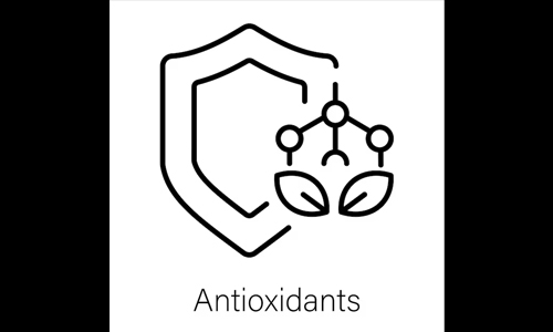 Packed with Antioxidants