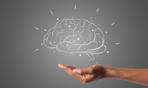 Supports Brain Health
