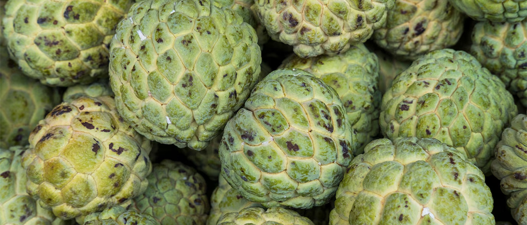 Great Health Benefits of Custard Apple!