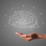 Anatomy of the brain & How it works: Comprehensive Guide