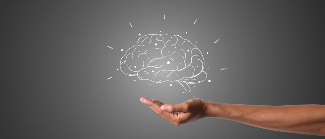 Anatomy of the brain & How it works: Comprehensive Guide