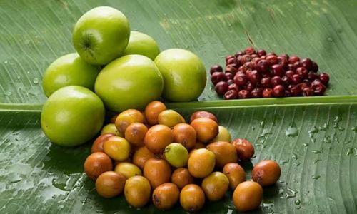 Fresh jujube fruit displayed on a green banana leaf alongside other small fruits.