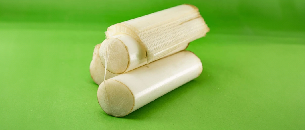 Banana Stem: Benefits & Side Effects