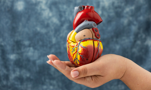 Heart Health