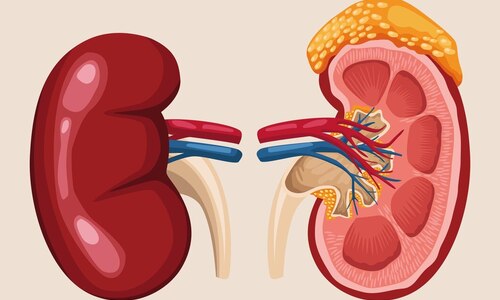 Kidney Health