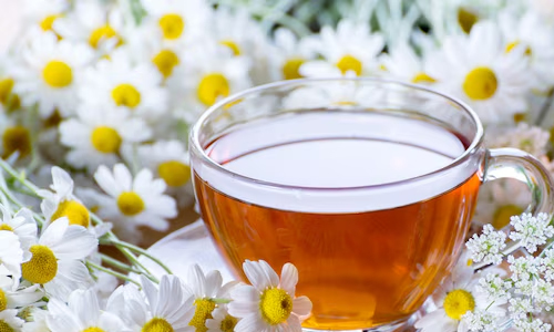 Chamomile-Tea