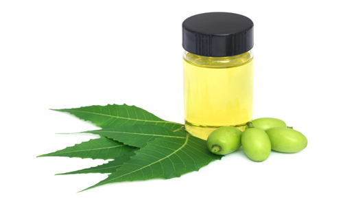 Neem Oil