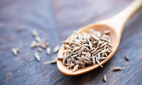 Cumin-Seeds