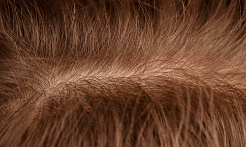 Let’s-Talk-about-the-Hair