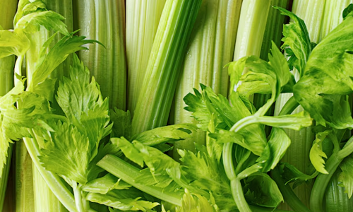 Herbal-Remedies