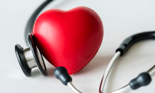 Boost-Your-Cardiovascular-Health