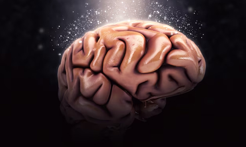 Sharpen-Your-Cognitive-Function