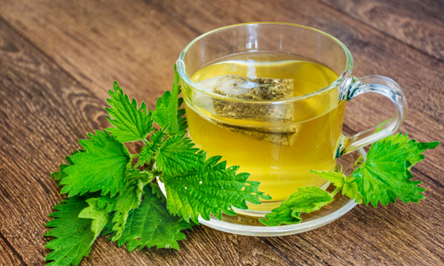 Mullein-Leaf-Tea