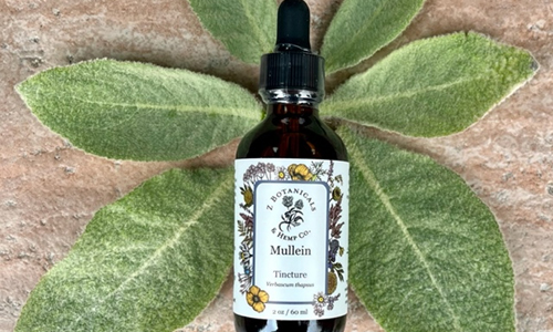 Mullein-Tincture
