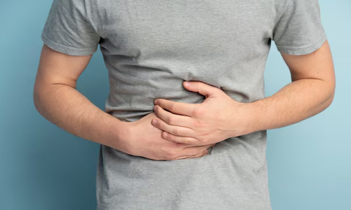 Digestion