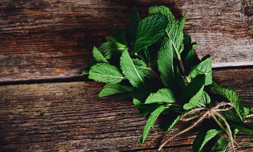 Antioxidant-properties