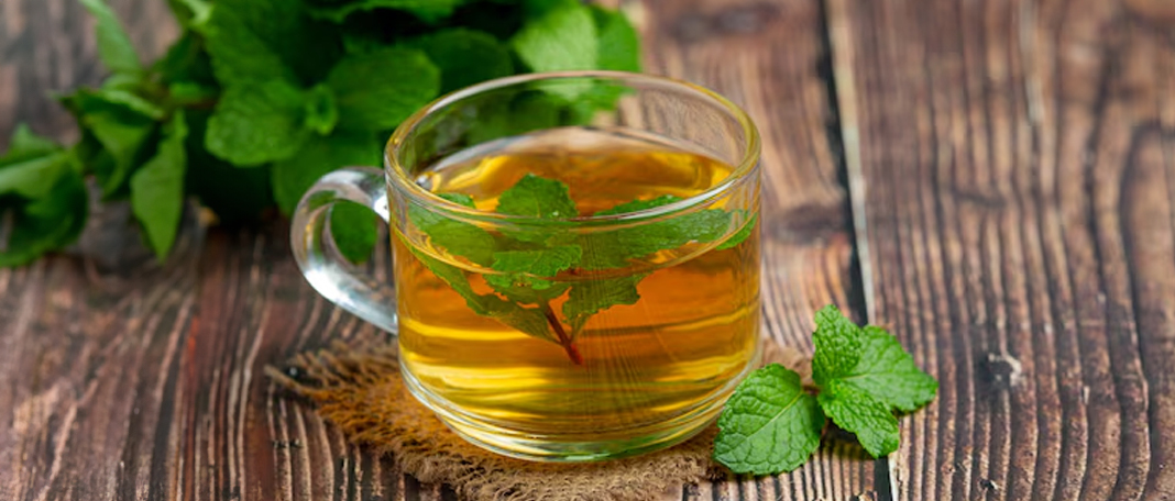 Spearmint Tea Health Benefits